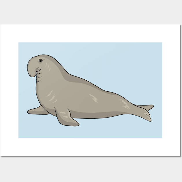 Elephant seal cartoon illustration Wall Art by Cartoons of fun